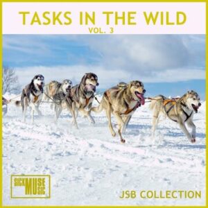 Task In The Wild Vol. 3