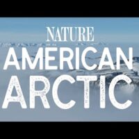 American Arctic Rescored